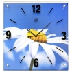Часы настенные "Ромашка" входит) Часы комплектуются гарантийным талоном инфо 11619o.